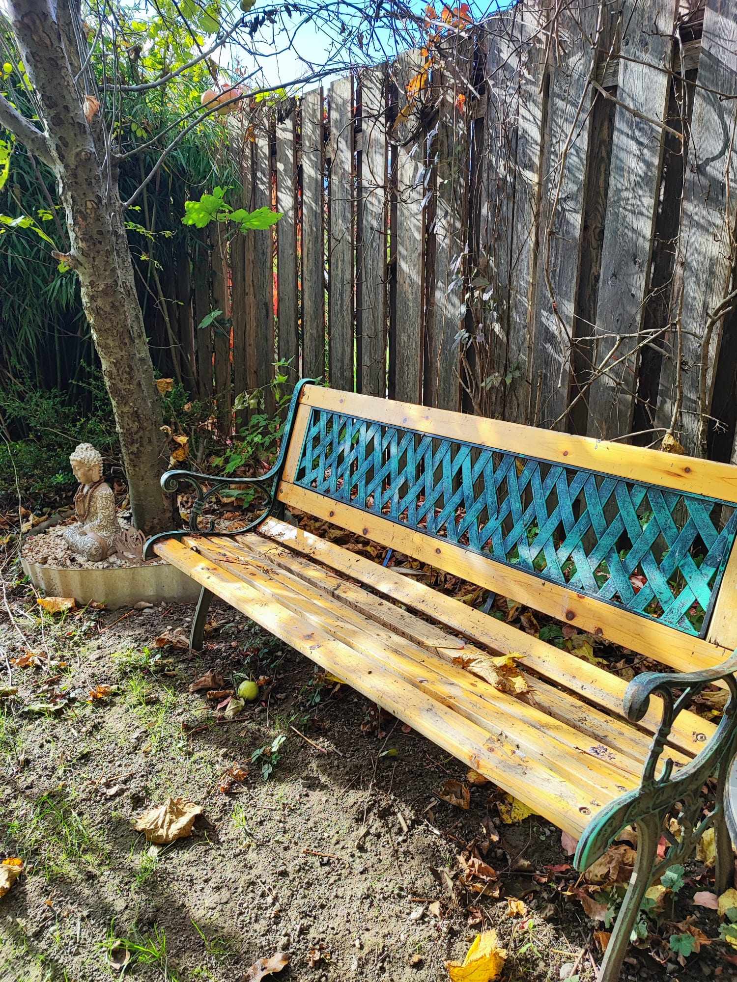 Cranio Sacral Balancing