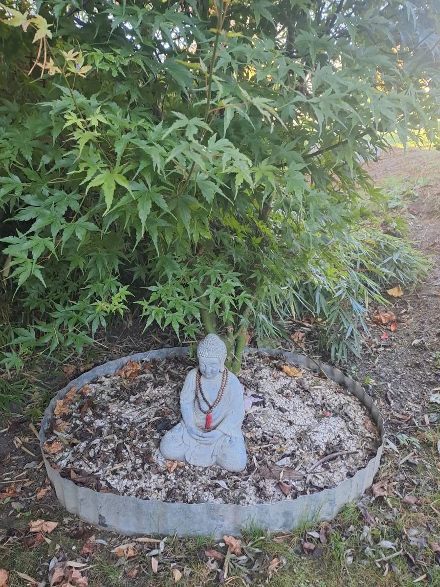 Shirodhara Stirn-Öl-Guss – Beruhigende Therapie für Geist und Seele