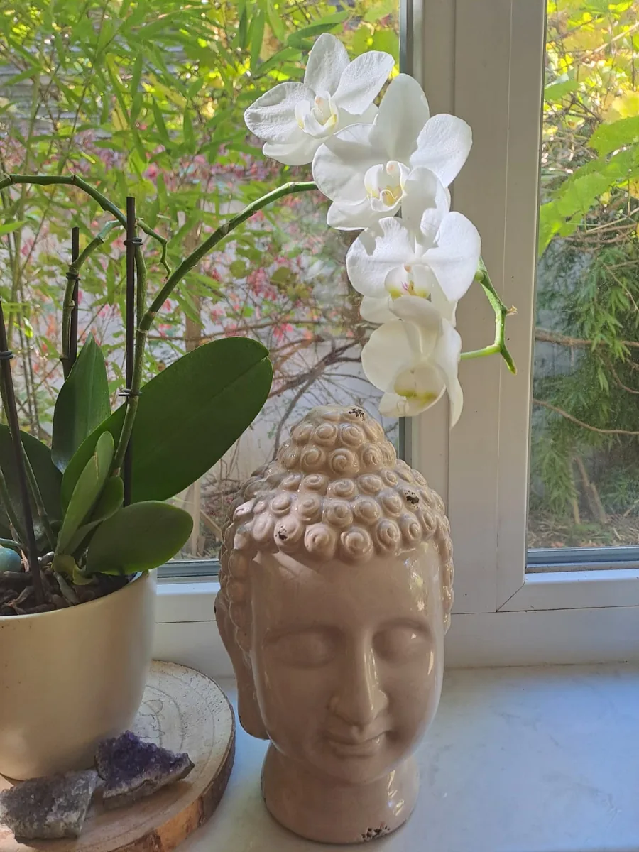 Ayurvedische Hormonbalance Massage