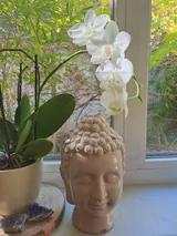 Ayurvedische Hormonbalance Massage